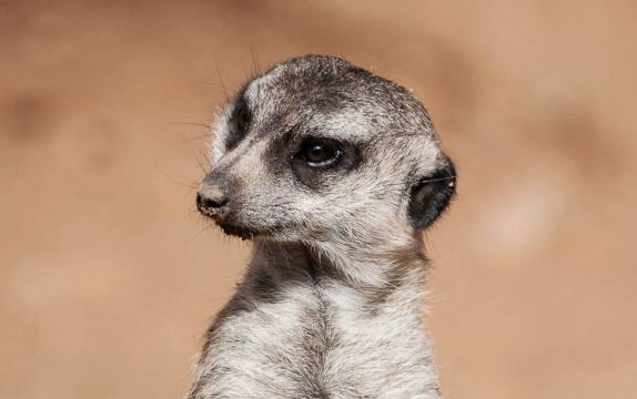 Wij zijn nooit bang om klanten te vragen: wat vind je van ons?